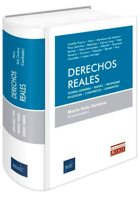 Derechos reales