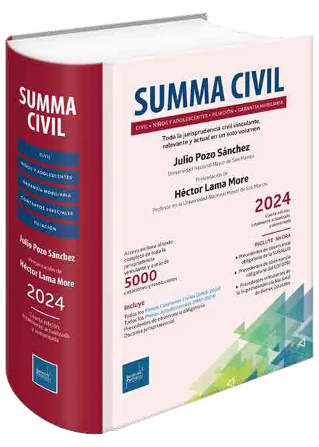 Summa civil 2024