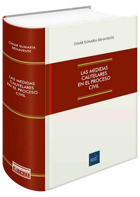 Las medidas cautelares en el proceso civil