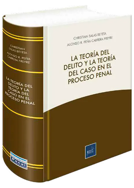 La teoría del delito y la teoría del caso en el proceso penal