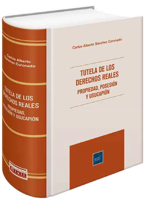 Tutela de los derechos reales