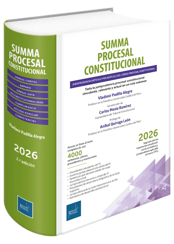 Summa procesal constitucional