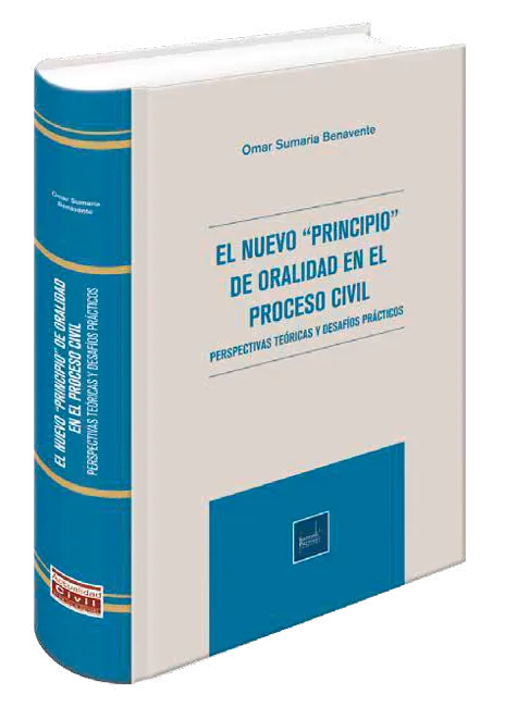 El nuevo principio de oralidad en el proceso civil