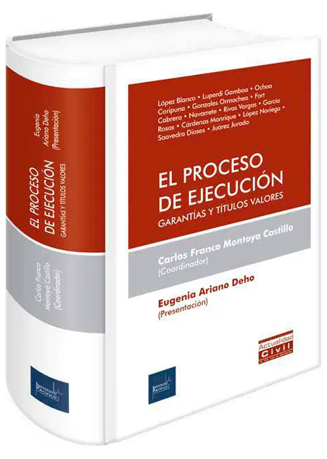 El proceso de ejecución