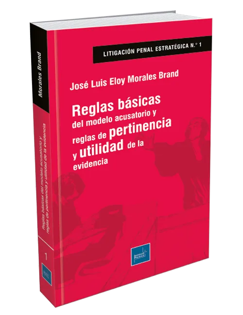 REGLAS BASICAS DEL MODELO ACUSATORIO Y REGLAS DE PERTINENCIA Y UTILIDAD DE LA EVIDENCIA