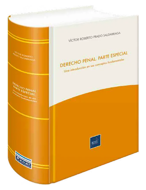 DERECHO PENAL PARTE ESPECIAL 2021 - UNA INTRODUCCION EN SUS CONCEPTOS FUNDAMENTALES