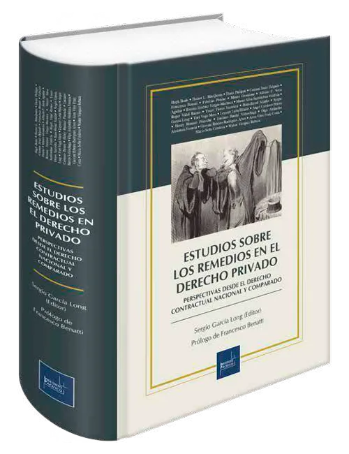 Portada de Estudios sobre los remedios en el derecho privado