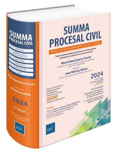 Summa procesal civil 2024