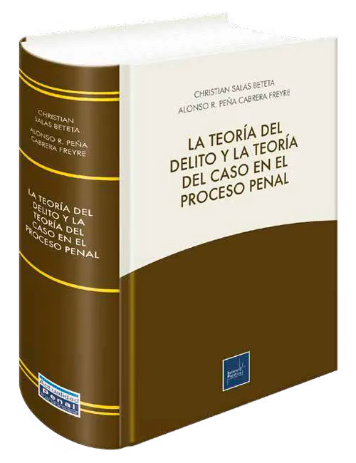 LA TEORIA DEL DELITO Y LA TEORIA DEL CASO EN EL PROCESO PENAL