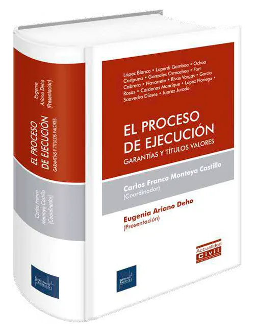 Portada de El proceso de ejecución