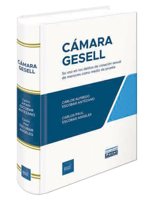 CAMARA GESELL