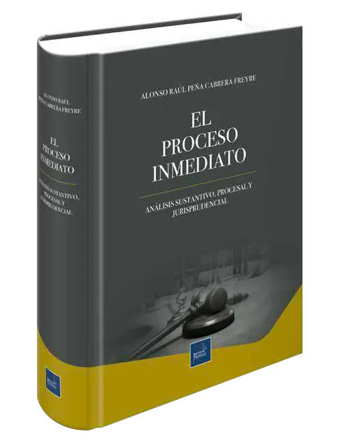 EL PROCESO INMEDIATO