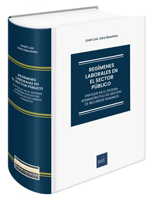 Portada de Regímenes laborales en el sector público