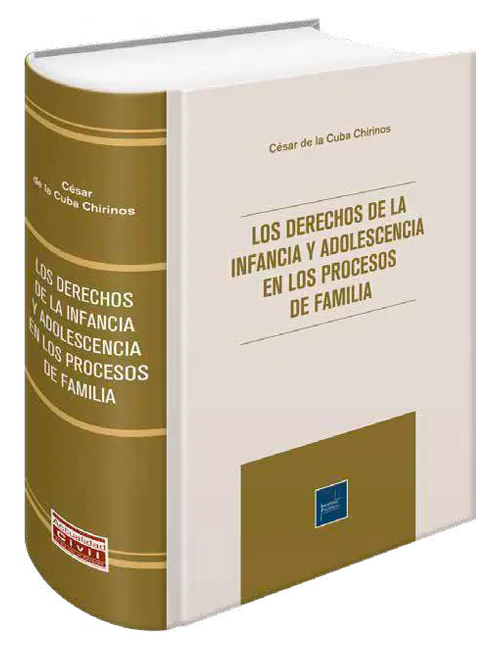 Portada de Los derechos de la infancia y adolescencia en los procesos de familia